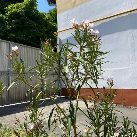Apartamento Lidvina Nyíregyháza